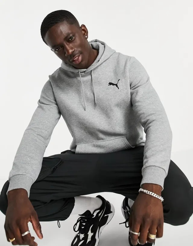 Puma Small Logo Hooded Sweat
