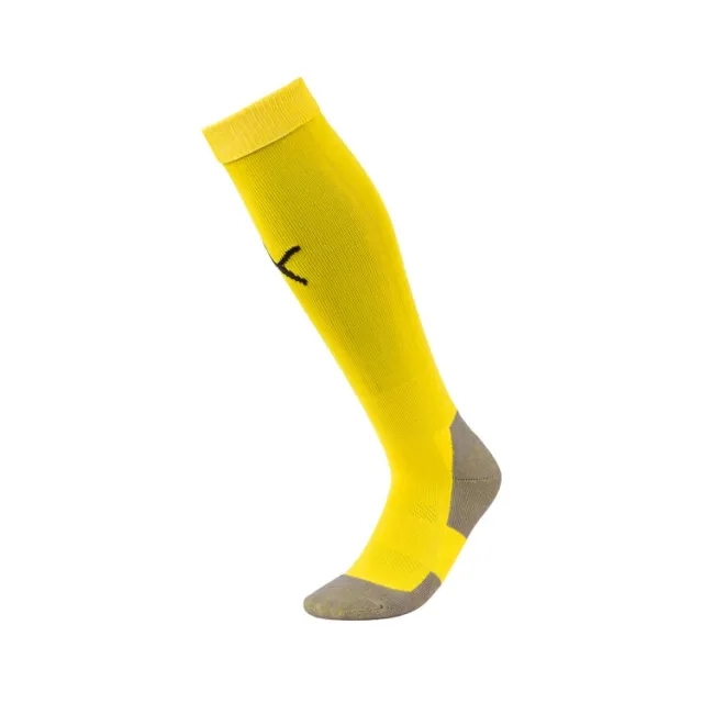 Puma teamLIGA Core Socks
