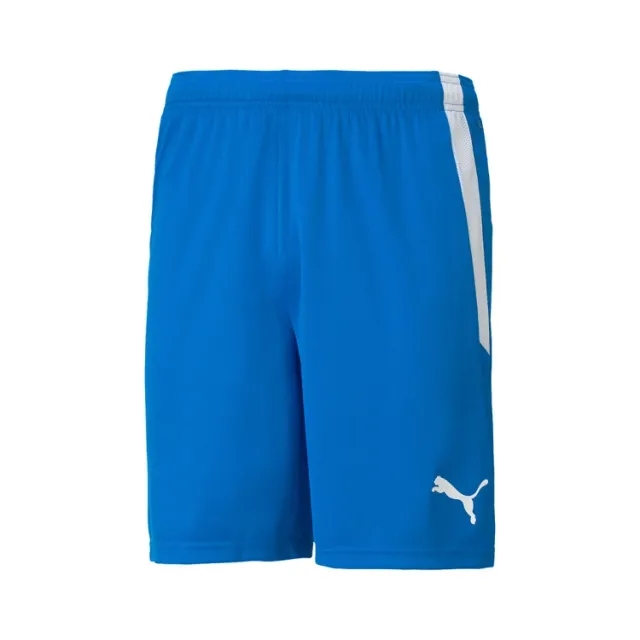 Puma Mens teamLIGA Football Shorts - Blue