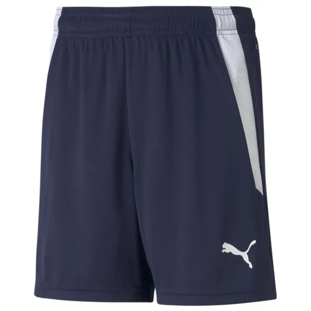 Puma Shorts Teamliga - ['Blue']