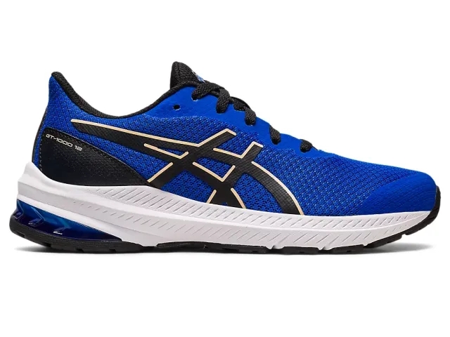 Asics Gt-1000 12 Gs