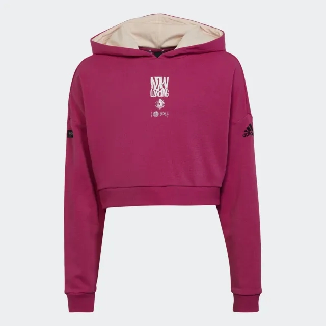 Adidas Arkd3 Ch Hoodie