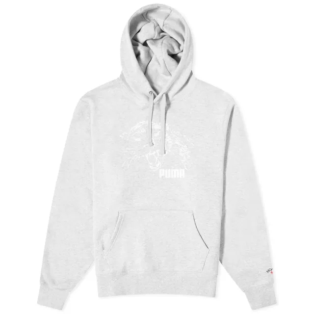 Puma X Noah Graphic Hoodie Men Hoodies Grey