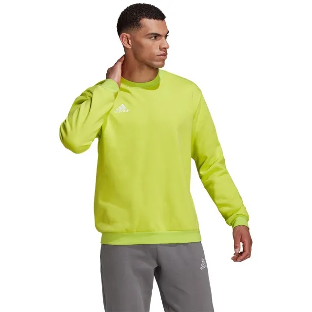 adidas Entrada 22 Sweatshirt
