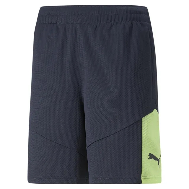 Puma Training Shorts Individualfinal - ['Blue']