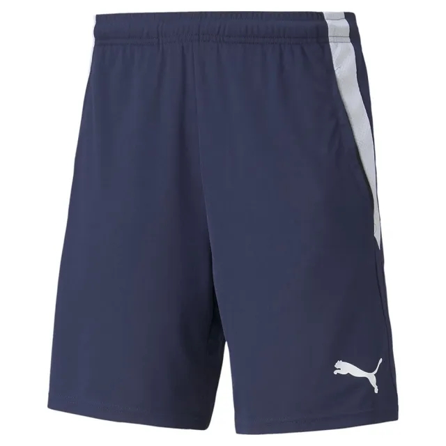 Puma Training Shorts Teamliga 2 - ['Blue']