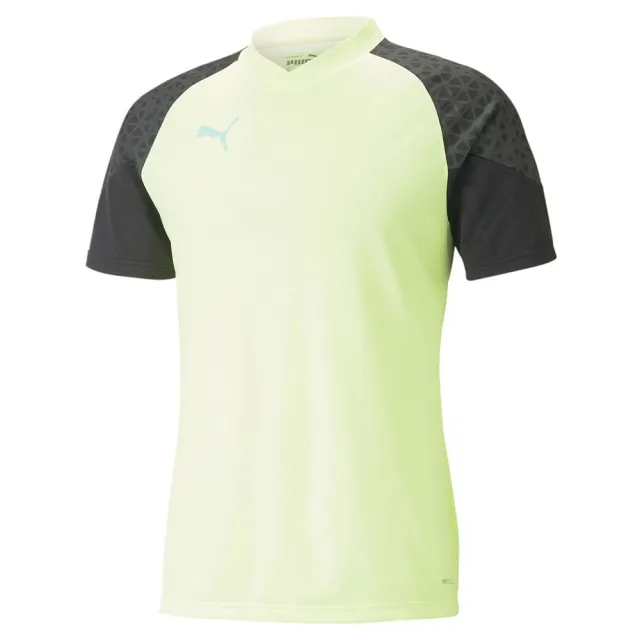 Puma Training T-Shirt Individualcup - ['Green']