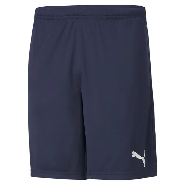 Puma Teamrise Training Shorts