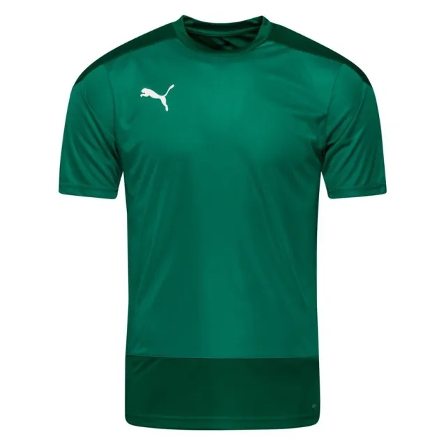 Puma teamGOAL 23 Slim SS Training Shirt