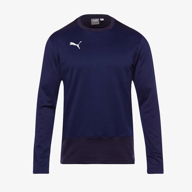 Puma Junior teamGOAL 23 Training Sweatshirt