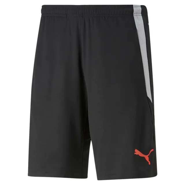 Puma Teamliga 2 Shorts  - Black