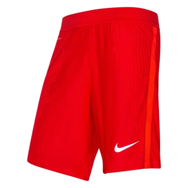 Nike Vaporknit III Shorts