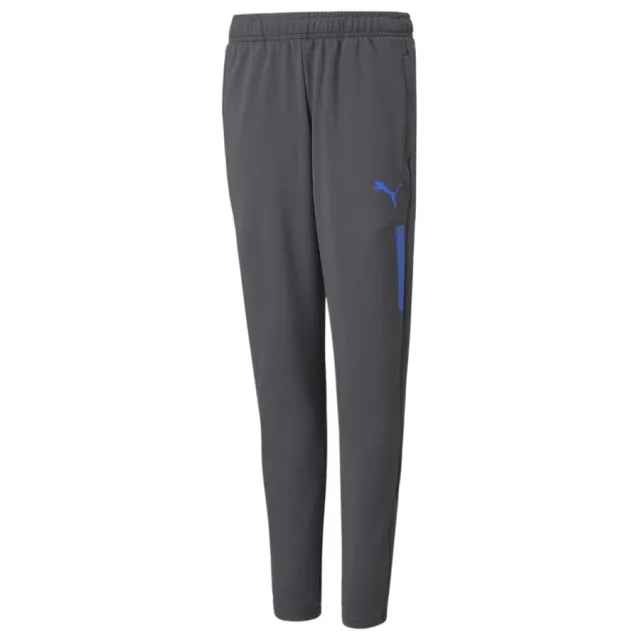 Puma Individualcup Training Pants Jr - ['Grey']