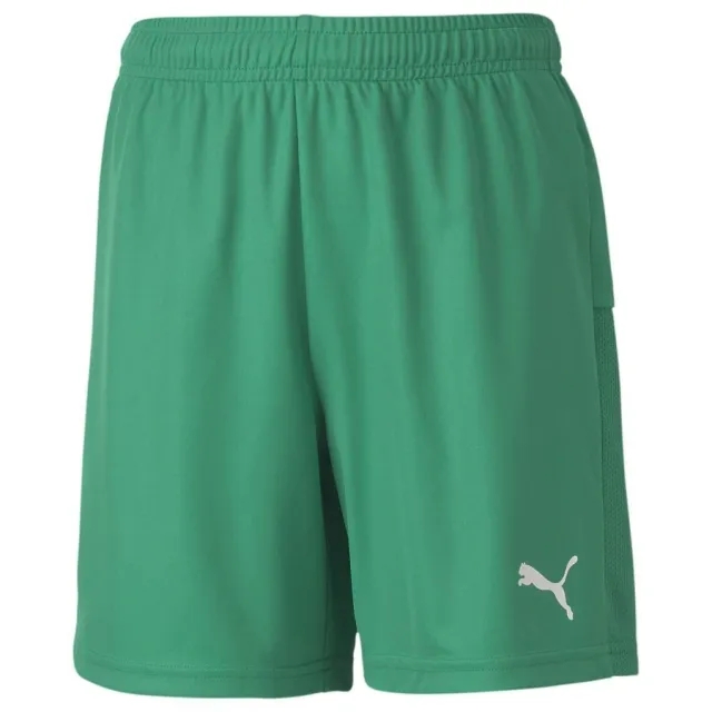 Puma Football Shorts Teamgoal 23 - ['Green']