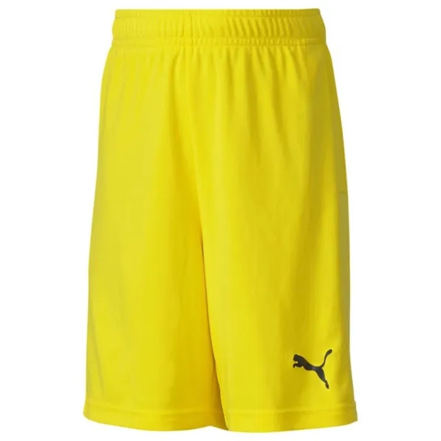 Puma Football Shorts Teamgoal 23 - ['Yellow']