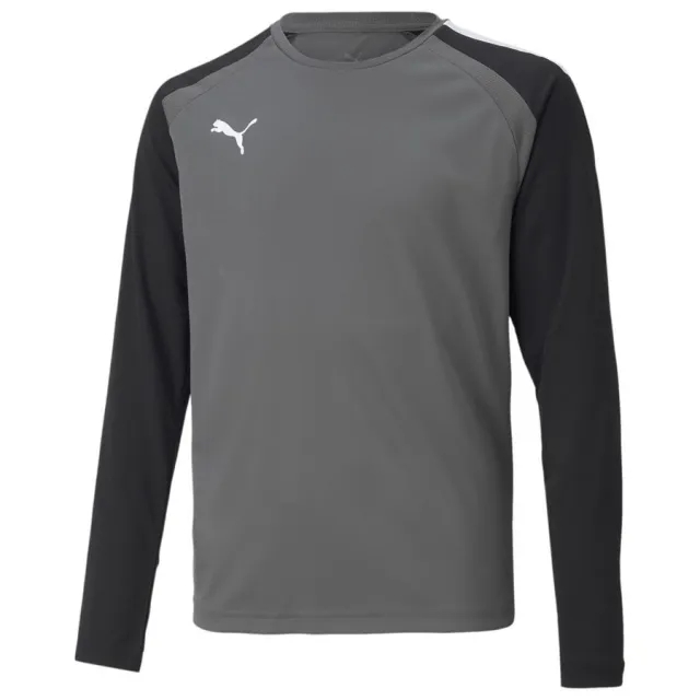 Puma Junior teamPACER LS GK Shirt