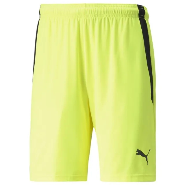 Puma teamLIGA Shorts