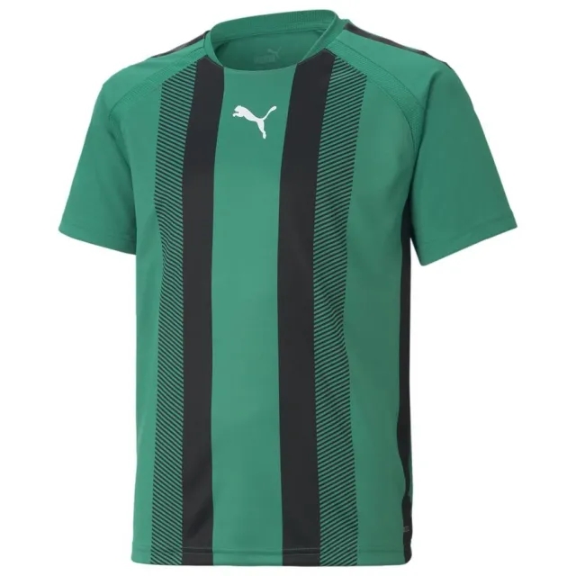 Puma Teamliga Striped Jersey - Green/Puma Black - ['Green']