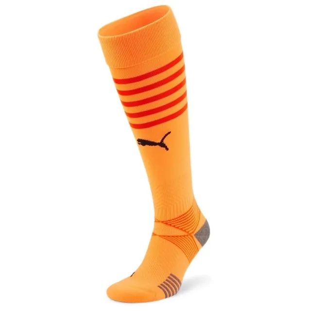 Puma teamFINAL Socks