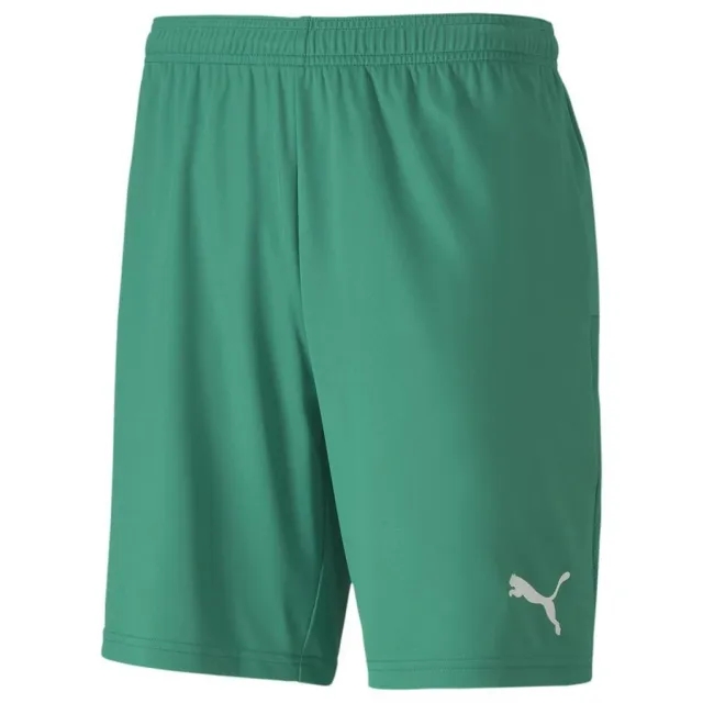 Puma Football Shorts Teamgoal 23 - ['Green']