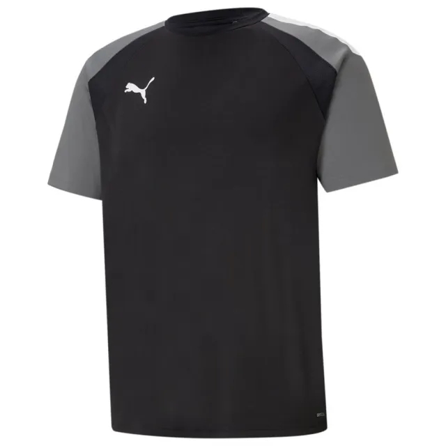 Puma Carrick Rangers Academy 24 25 SS Training Shirt