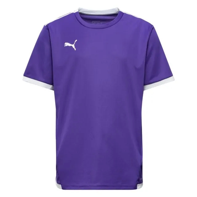 Puma Playershirt Teamliga - ['Purple']