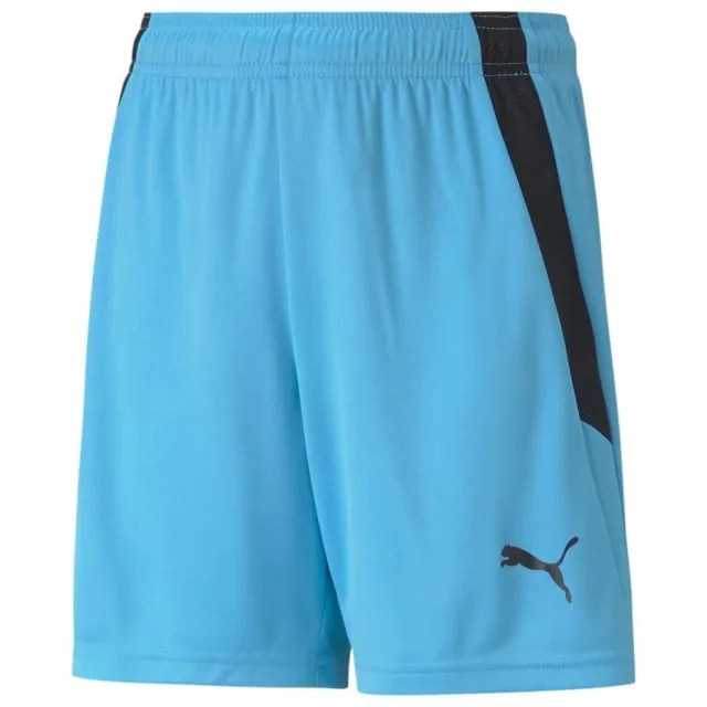 Puma Shorts Teamliga - ['Blue']