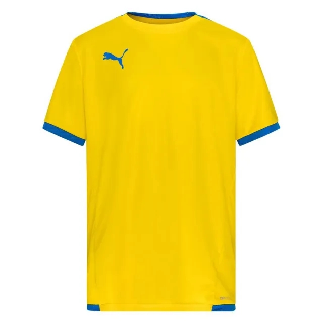 Puma Training T-Shirt Teamliga - ['Yellow']