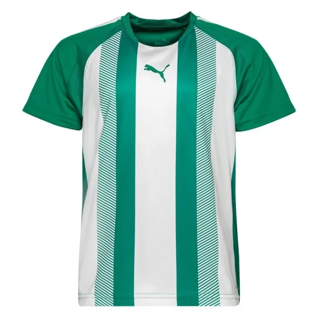 Puma Playershirt Teamliga - ['Green']