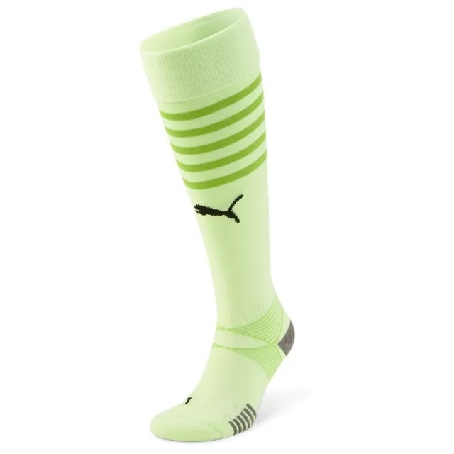 Puma teamFINAL Socks