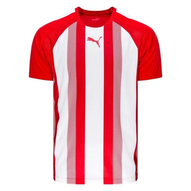 Puma teamLIGA Striped SS Shirt