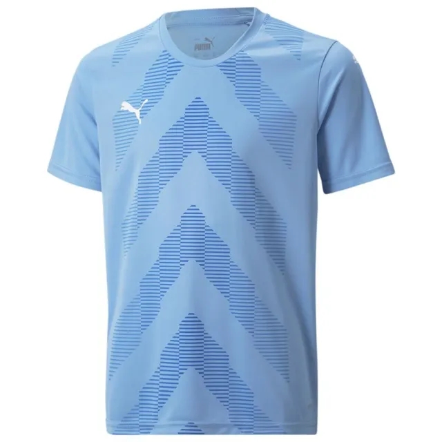 Puma Playershirt Teamglory - ['Blue']