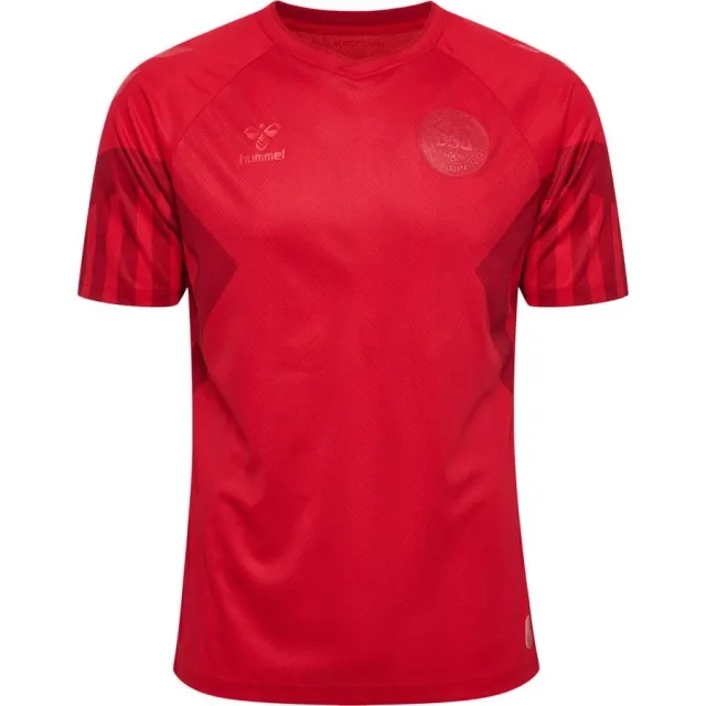 Hummel Denmark Home KIDS Shirt 2022-2023