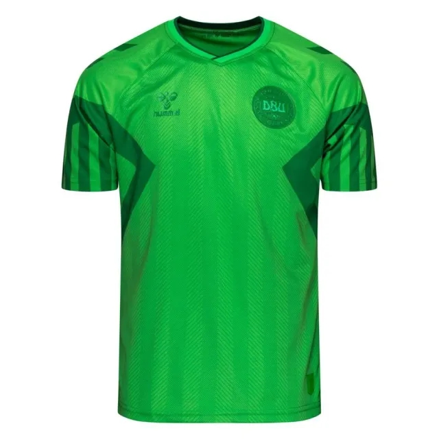 Hummel Denmark Goalkeeper Shirt World Cup 2022 - ['Green']