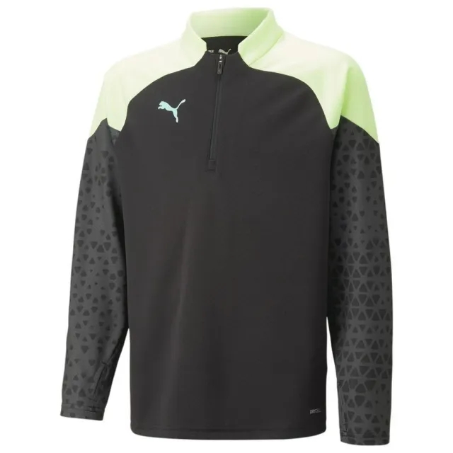 Puma Training Shirt Individualcup 1/4 Zip - ['Black']