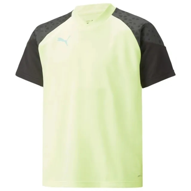 Puma Training T-Shirt Individualcup - ['Green']