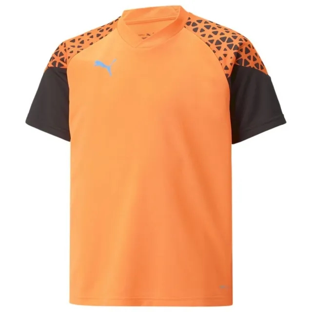 Puma Training T-Shirt Individualcup - ['Orange']