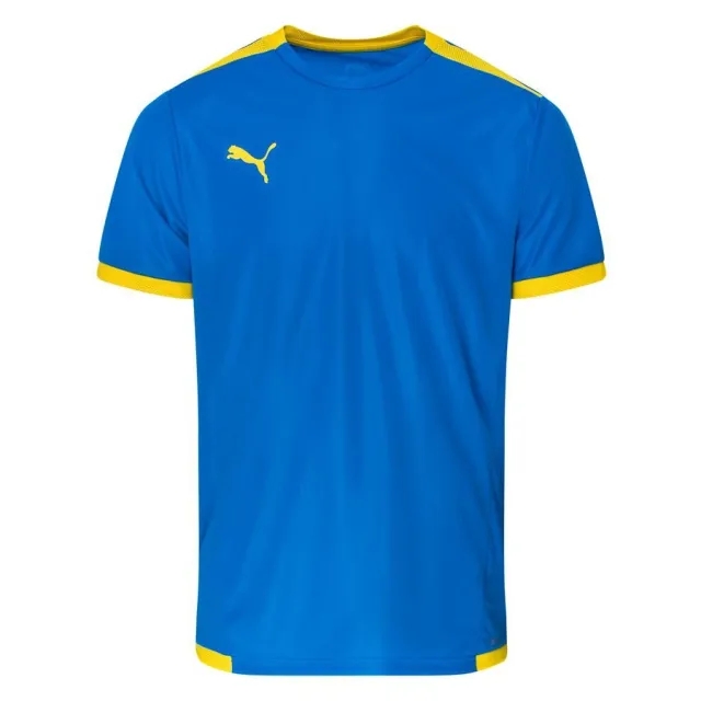 Puma Training T-Shirt Teamliga - ['Blue']