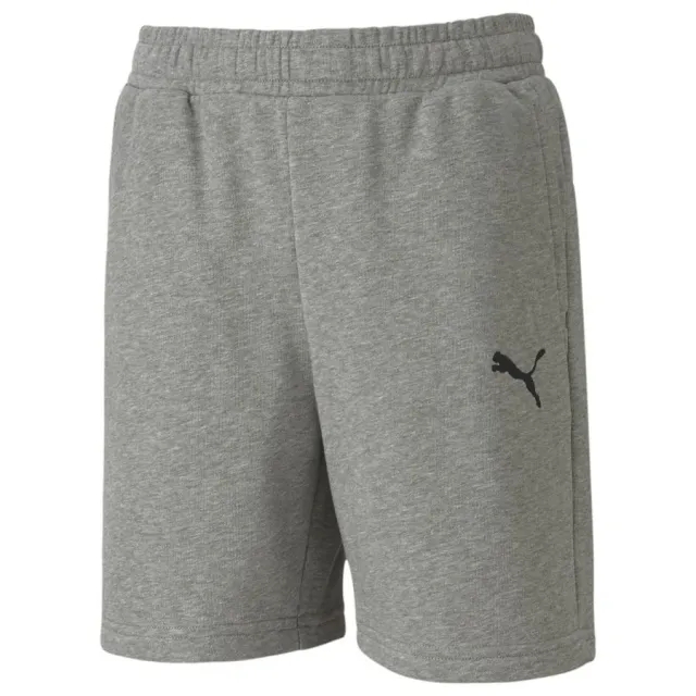 Puma Shorts Teamgoal Casuals - ['Grey']