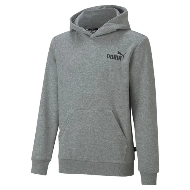 Puma Ess Small Logo Hoodie