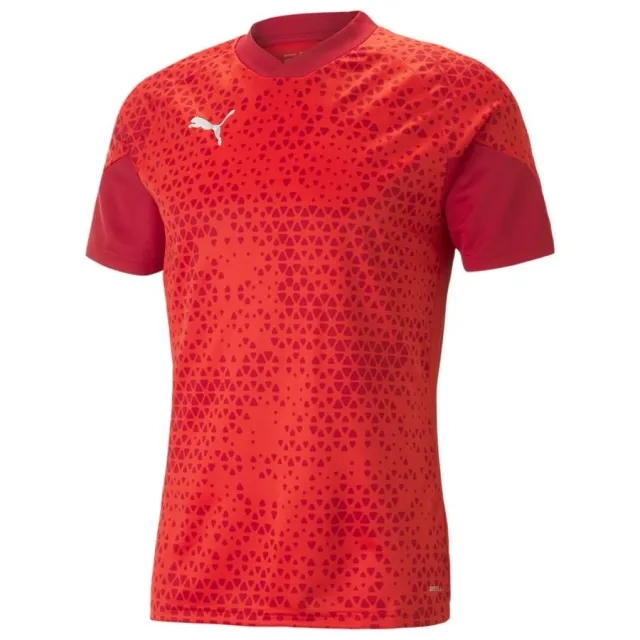 Puma teamCUP 23 Slim SS Training Shirt