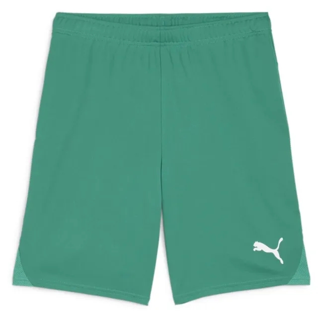 Puma Football Shorts Teamgoal - ['Green']