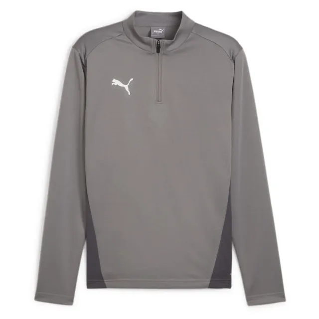 Puma teamGOAL 24 1 4 Zip Training Top