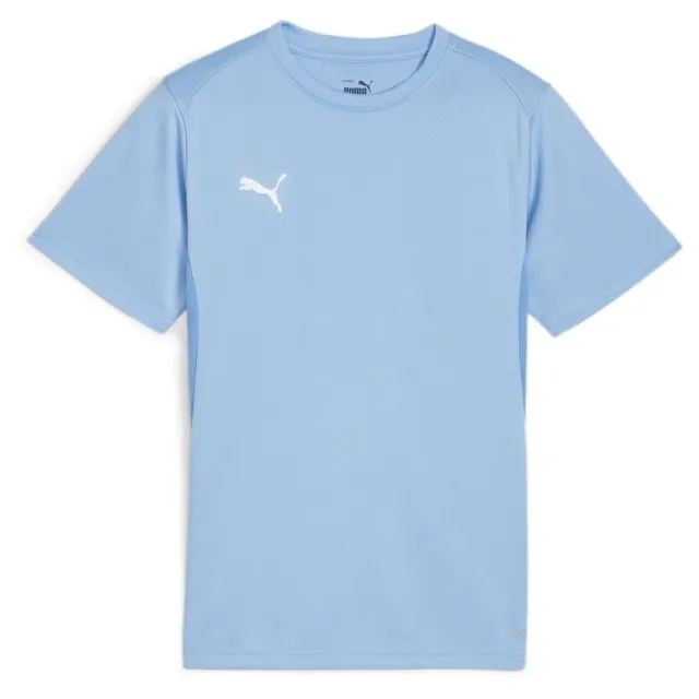 Puma Training T-Shirt Teamgoal - ['Blue']