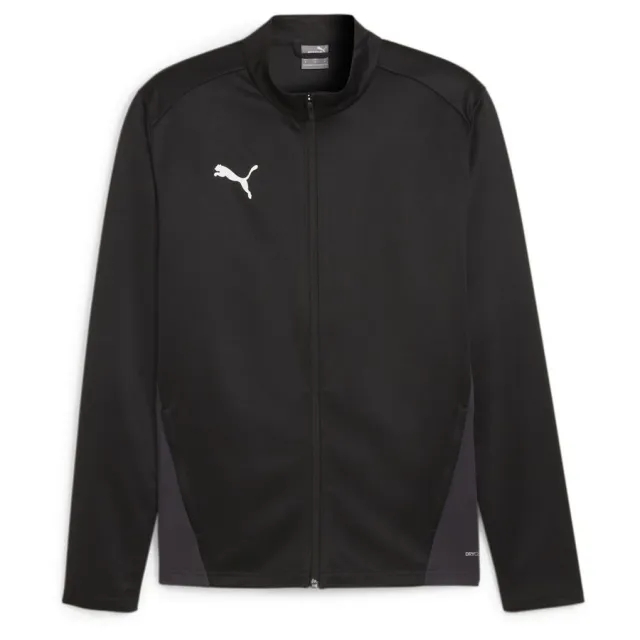 Puma teamGOAL 24 Training Jacket