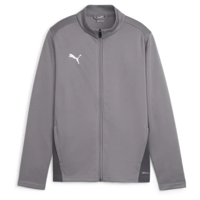 Puma Training Jacket Teamgoal - ['Grey']