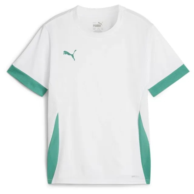 Teamgoal Matchday Jersey Jr Puma White-Sport Green-Sport Green - ['White']