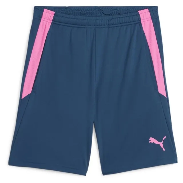 Puma Training Shorts Teamliga 2 - ['Blue']