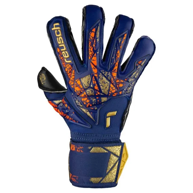 Reusch Attrakt Gold X Evolution GK Gloves
