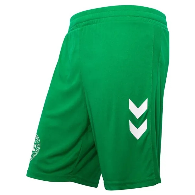 Hummel Denmark Goalkeeper Shorts Euro 2024 - ['Green']
